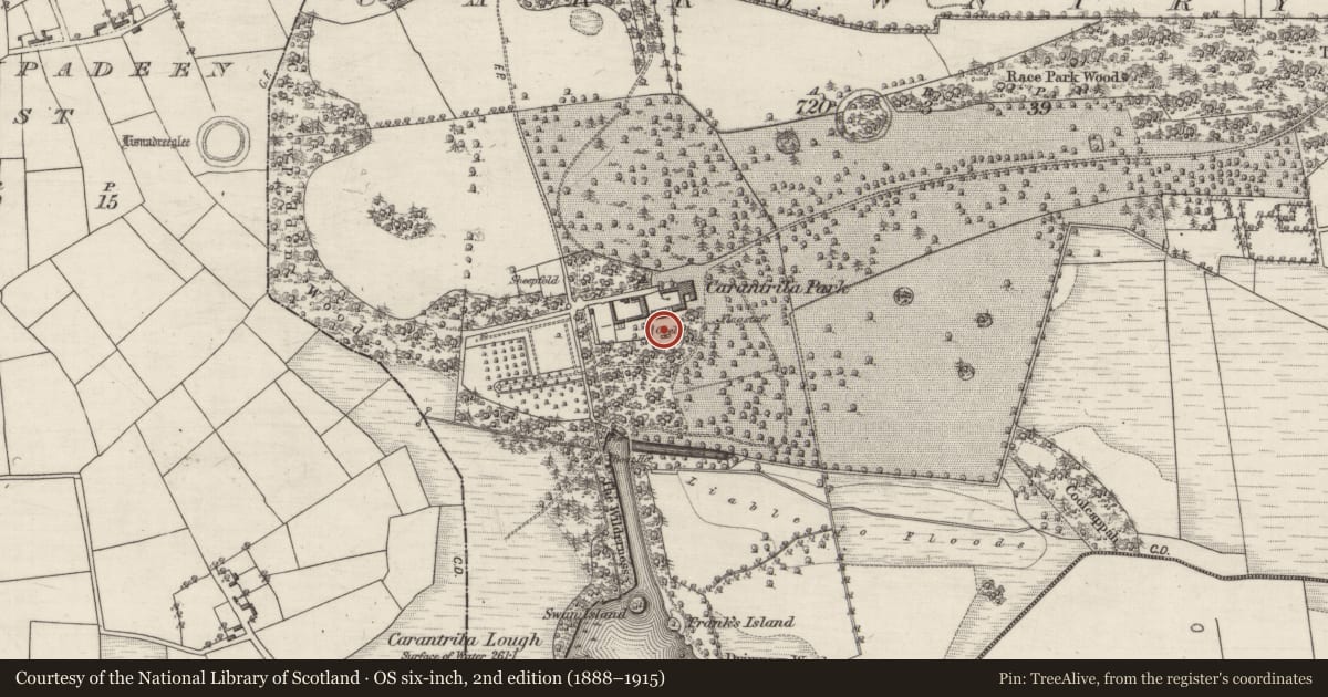 Ordnance Survey six-inch map, 2nd edition (1888–1915) covering the location of Enclosure, Carrowntryla, County Galway, with a pin at the register's coordinates