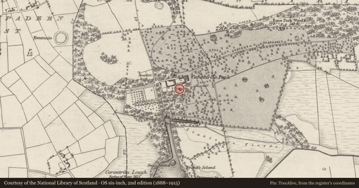 Ordnance Survey six-inch map, 2nd edition (1888–1915) covering the location of Burial, Carrowntryla, County Galway, with a pin at the register's coordinates