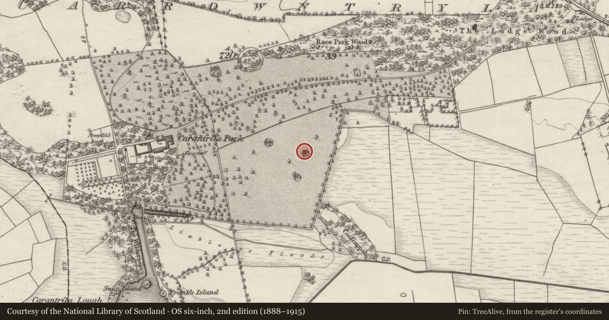 Ordnance Survey six-inch map, 2nd edition (1888–1915) covering the location of Designed landscape - tree-ring, Carrowntryla, County Galway, with a pin at the register's coordinates
