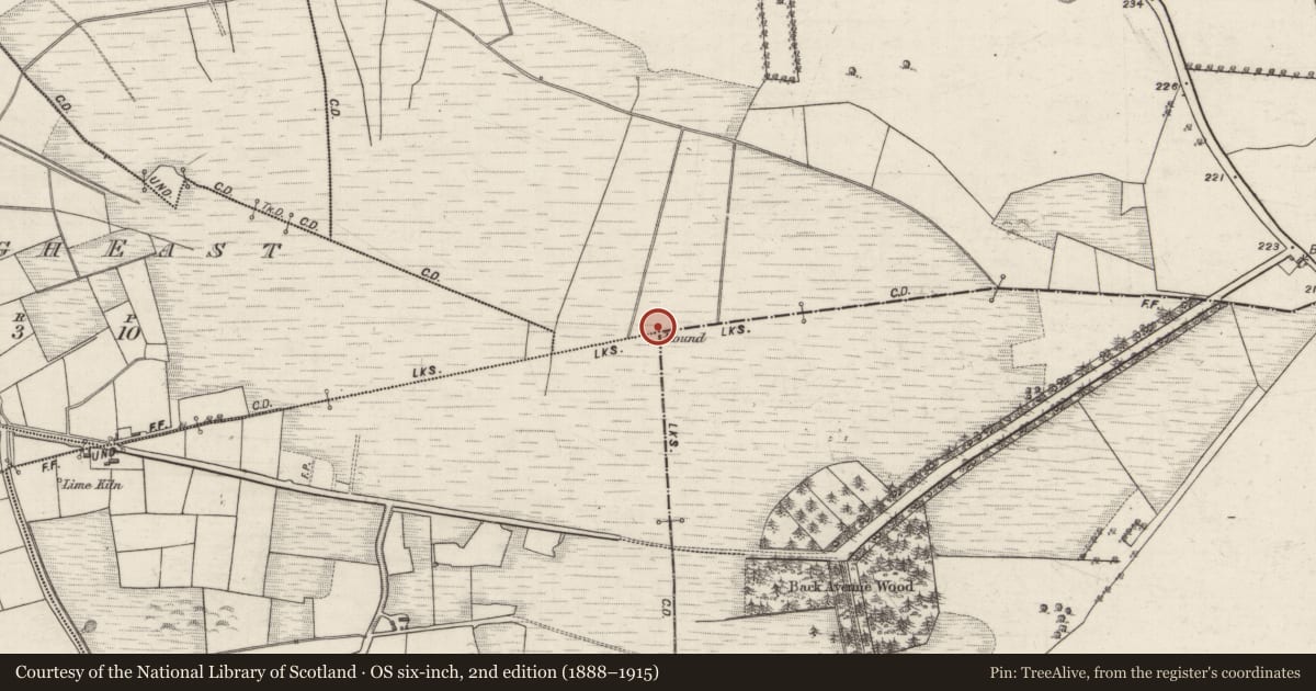 Ordnance Survey six-inch map, 2nd edition (1888–1915) covering the location of Boundary mound, County Galway, with a pin at the register's coordinates