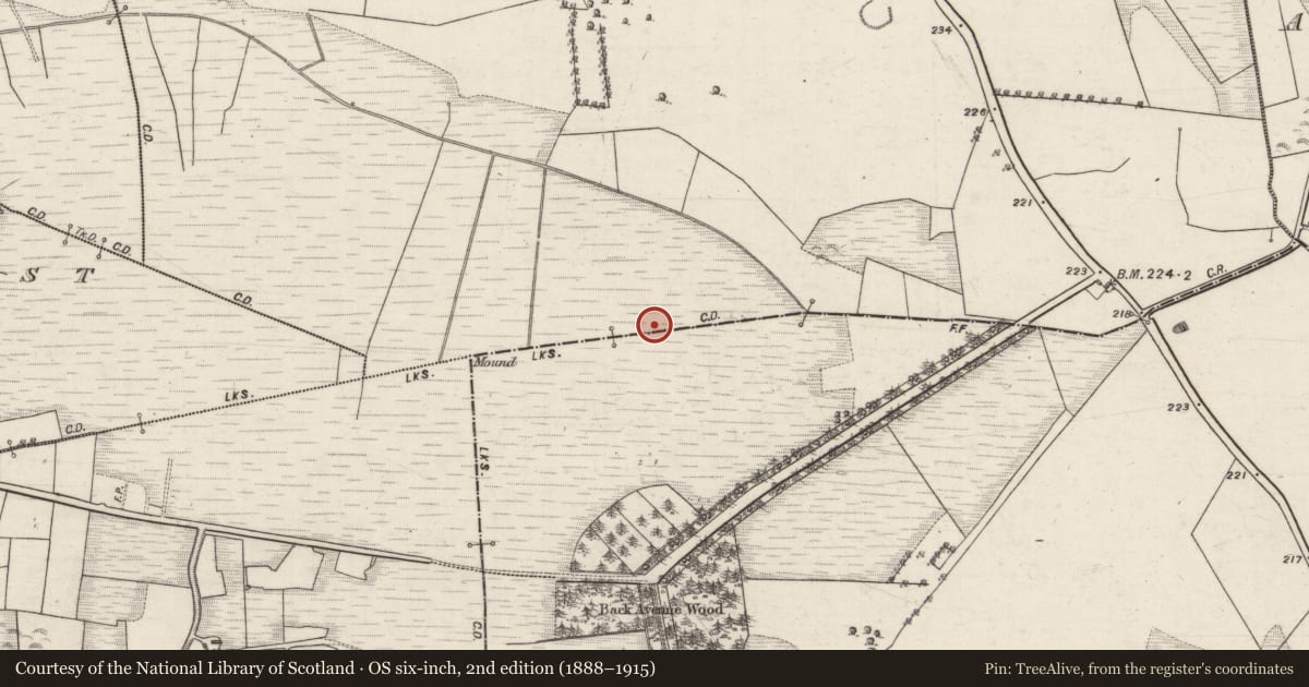 Ordnance Survey six-inch map, 2nd edition (1888–1915) covering the location of Boundary mound, Carrowntryla, Lissybroder, County Galway, with a pin at the register's coordinates