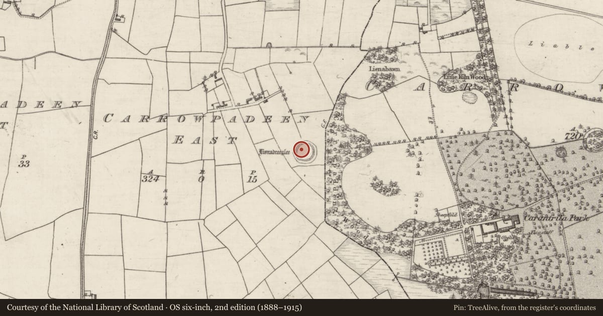 Ordnance Survey six-inch map, 2nd edition (1888–1915) covering the location of Ringfort - rath, Carrowpadeen East, County Galway, with a pin at the register's coordinates