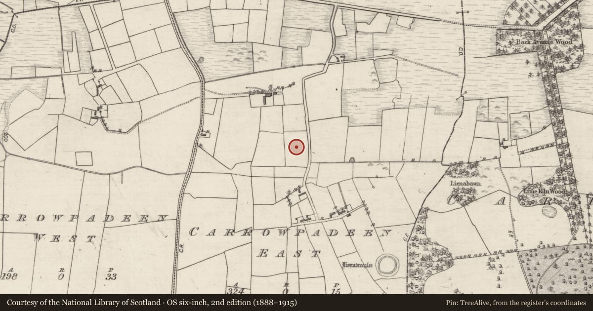 Ordnance Survey six-inch map, 2nd edition (1888–1915) covering the location of Ringfort - rath, Carrowpadeen East, County Galway, with a pin at the register's coordinates