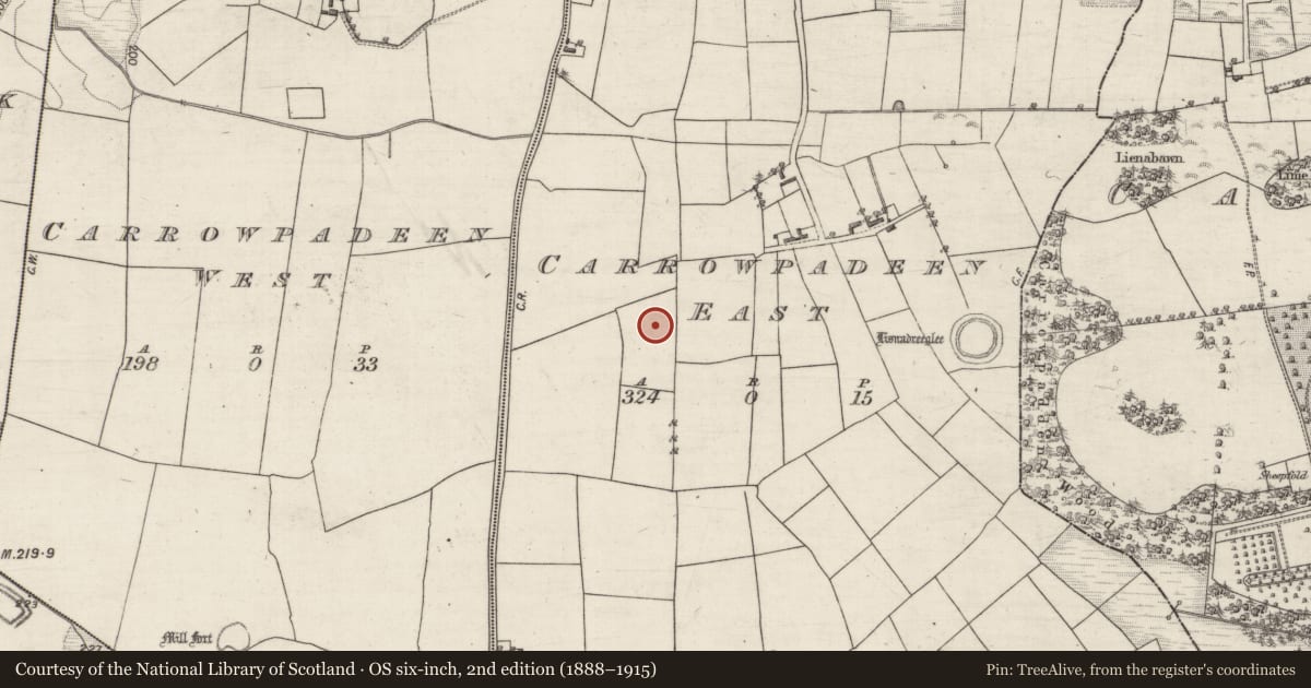 Ordnance Survey six-inch map, 2nd edition (1888–1915) covering the location of Anomalous stone group, Carrowpadeen East, County Galway, with a pin at the register's coordinates