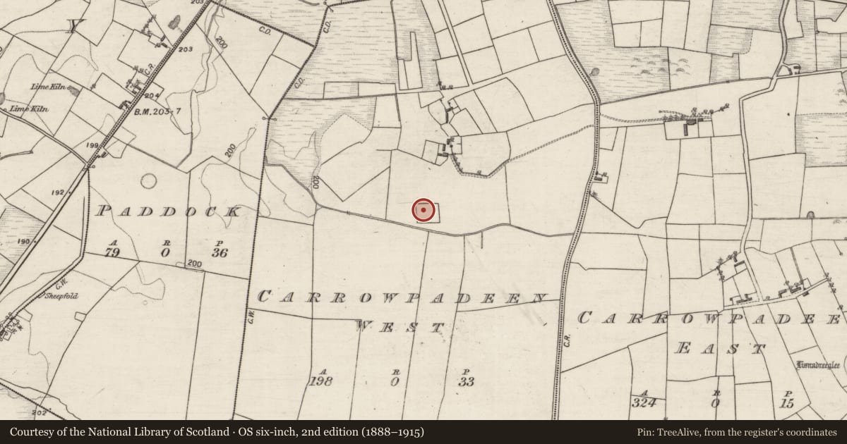 Ordnance Survey six-inch map, 2nd edition (1888–1915) covering the location of Moated site, Carrowpadeen West, County Galway, with a pin at the register's coordinates