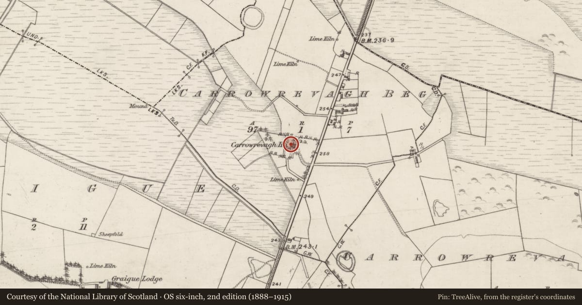 Ordnance Survey six-inch map, 2nd edition (1888–1915) covering the location of House - 18th/19th century, Carrowrevagh Beg, County Galway, with a pin at the register's coordinates