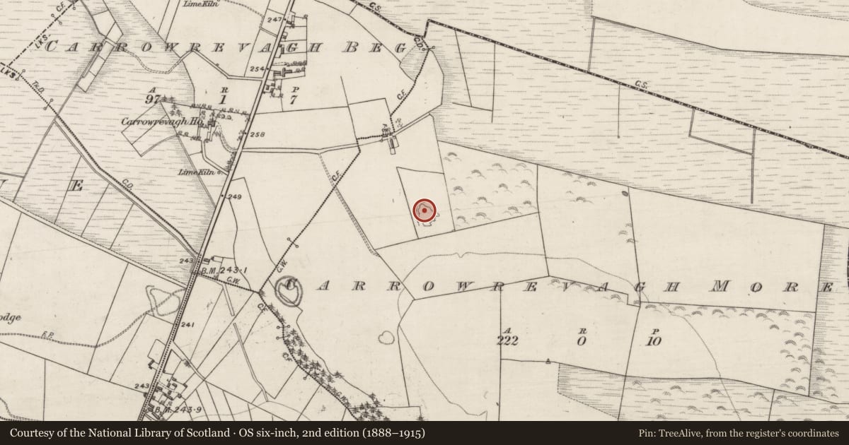 Ordnance Survey six-inch map, 2nd edition (1888–1915) covering the location of Enclosure, Carrowrevagh More, County Galway, with a pin at the register's coordinates