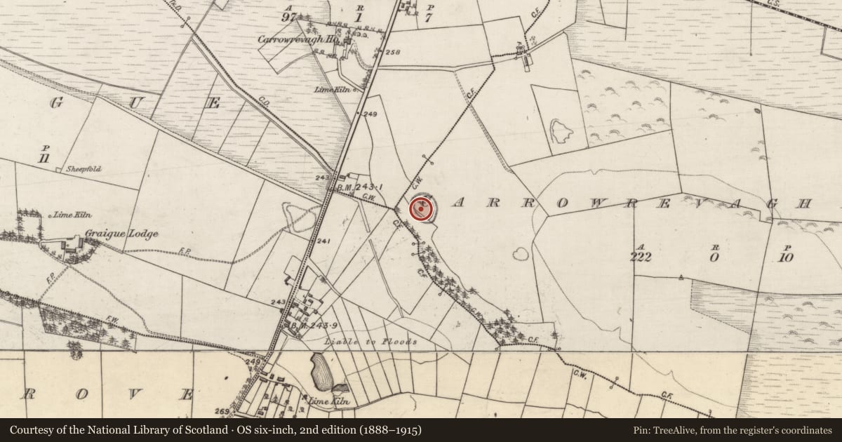 Ordnance Survey six-inch map, 2nd edition (1888–1915) covering the location of Souterrain, Carrowrevagh More, County Galway, with a pin at the register's coordinates