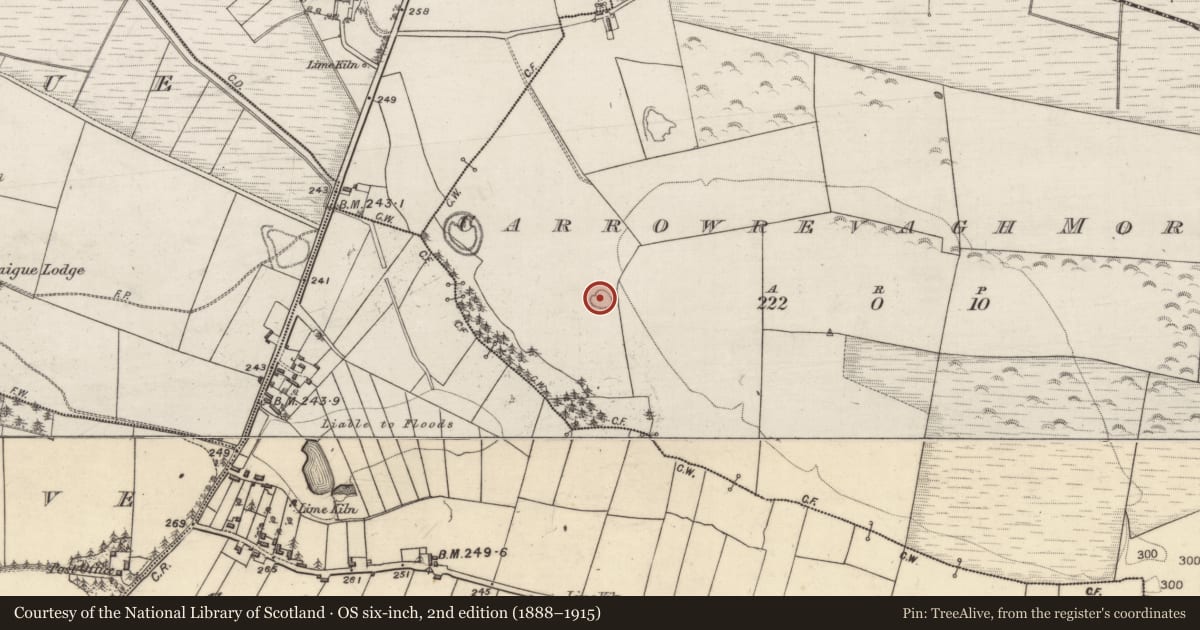 Ordnance Survey six-inch map, 2nd edition (1888–1915) covering the location of Enclosure, Carrowrevagh More, County Galway, with a pin at the register's coordinates