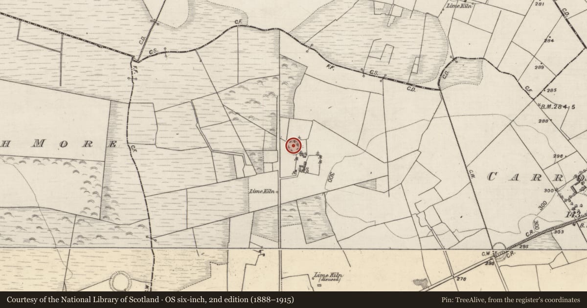 Ordnance Survey six-inch map, 2nd edition (1888–1915) covering the location of Ringfort - rath, Carrowroe West, County Galway, with a pin at the register's coordinates