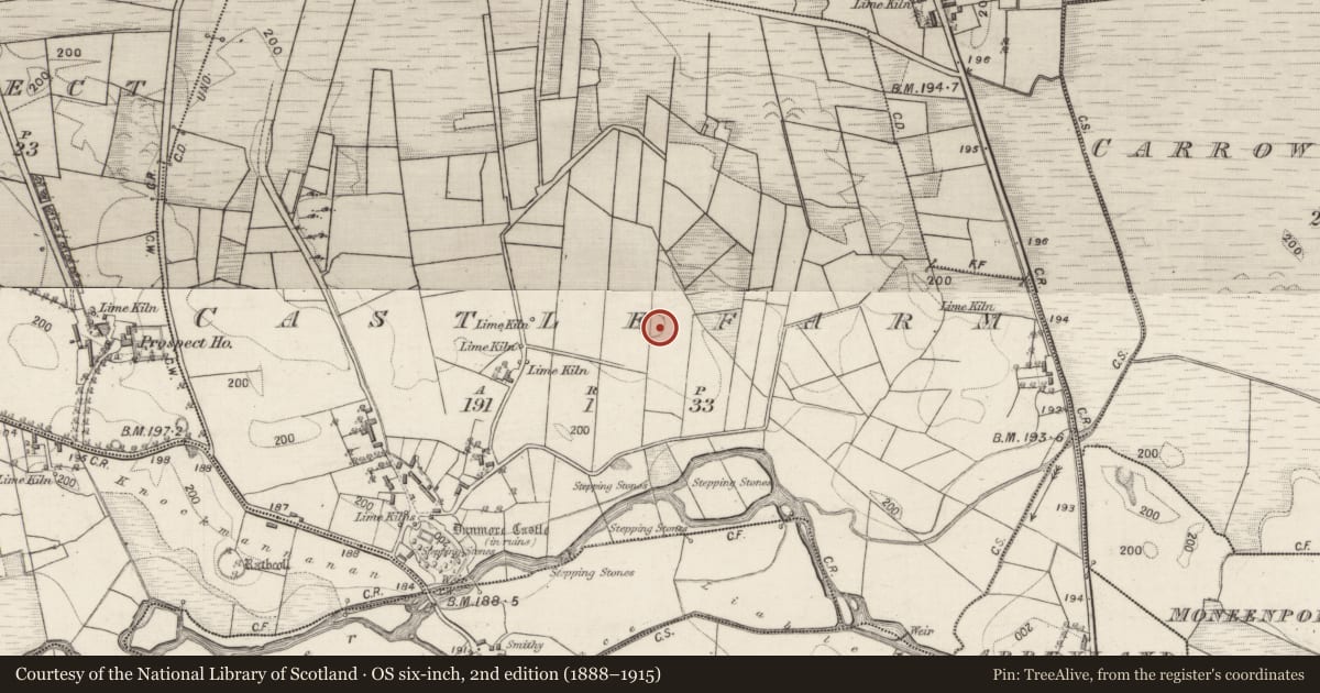 Ordnance Survey six-inch map, 2nd edition (1888–1915) covering the location of Ringfort - rath, Castlefarm, County Galway, with a pin at the register's coordinates