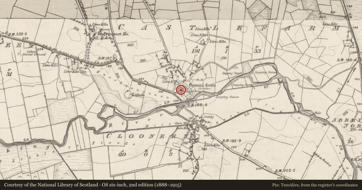 Ordnance Survey six-inch map, 2nd edition (1888–1915) covering the location of Castle - hall-house, Castlefarm, County Galway, with a pin at the register's coordinates