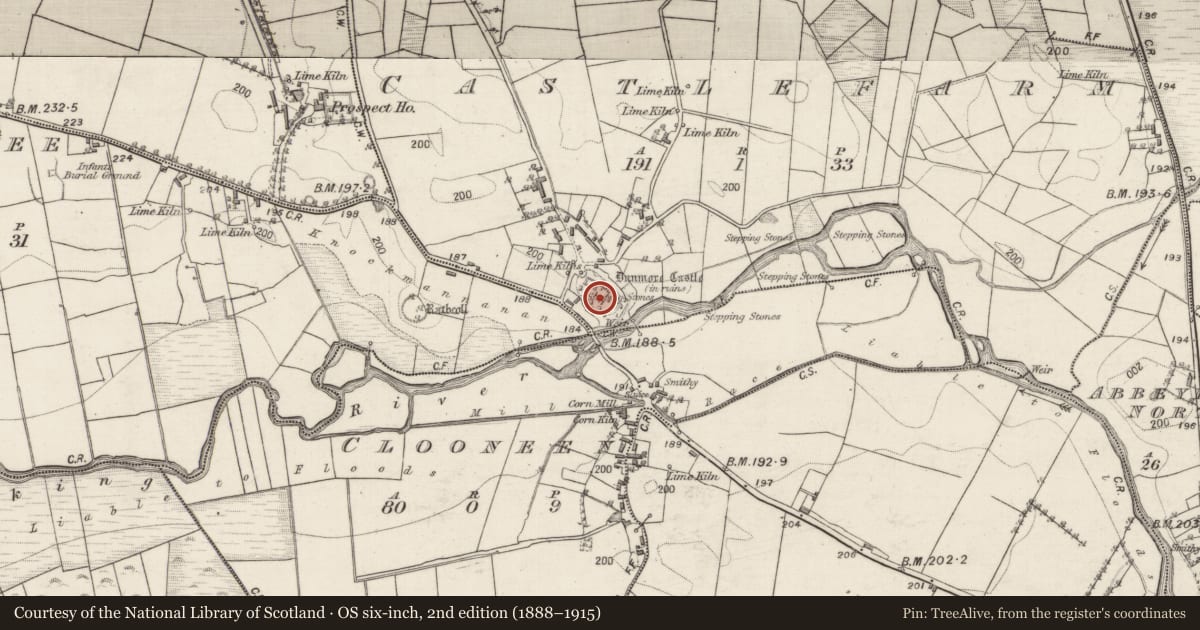 Ordnance Survey six-inch map, 2nd edition (1888–1915) covering the location of Kiln - lime, Castlefarm, County Galway, with a pin at the register's coordinates