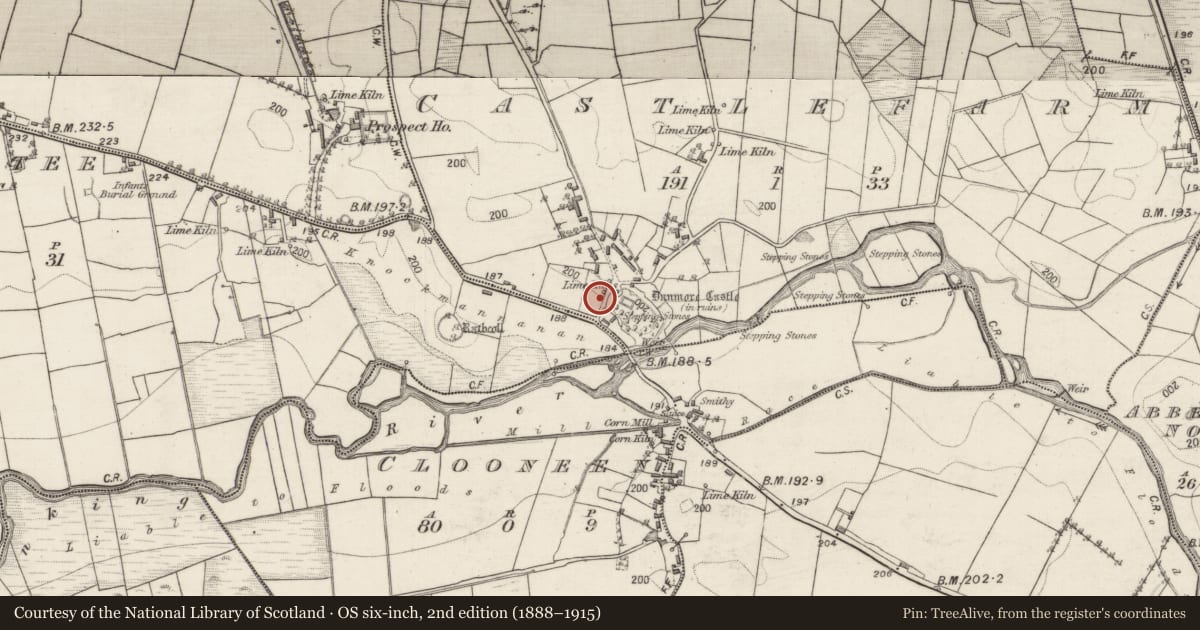 Ordnance Survey six-inch map, 2nd edition (1888–1915) covering the location of Earthwork, Castlefarm, County Galway, with a pin at the register's coordinates