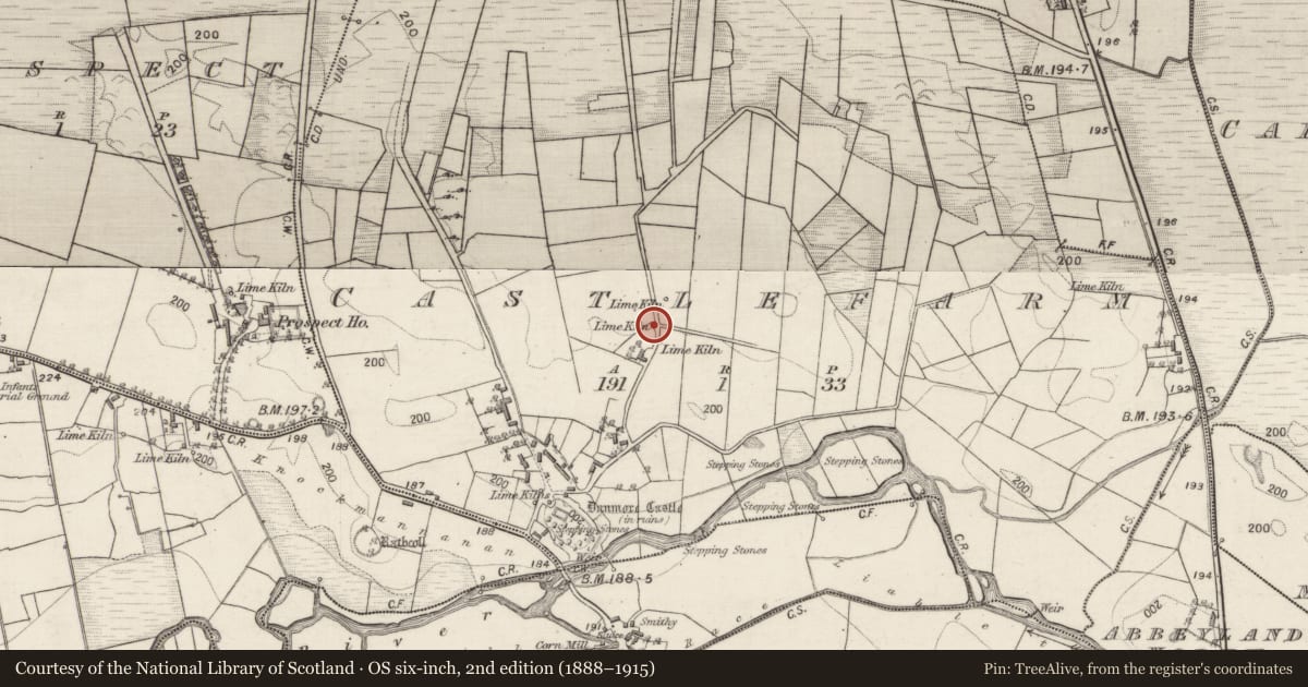 Ordnance Survey six-inch map, 2nd edition (1888–1915) covering the location of Kiln - lime, Castlefarm, County Galway, with a pin at the register's coordinates