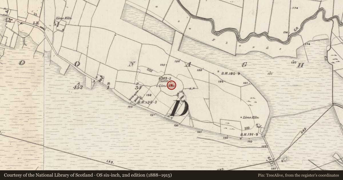 Ordnance Survey six-inch map, 2nd edition (1888–1915) covering the location of Hilltop enclosure, Cloonagh, County Galway, with a pin at the register's coordinates