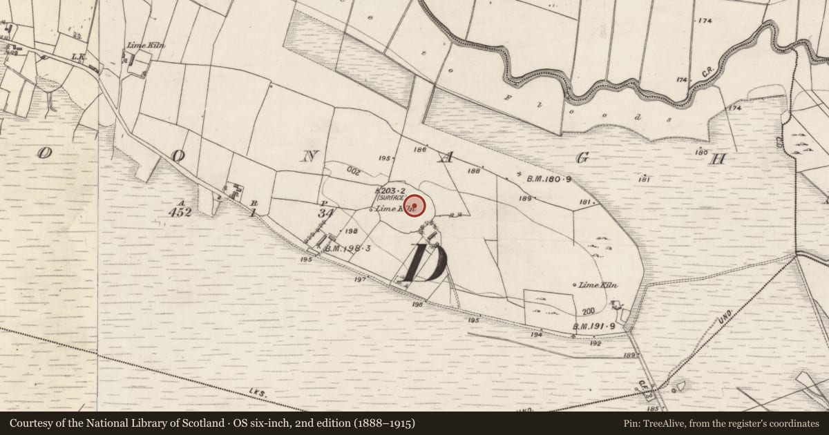 Ordnance Survey six-inch map, 2nd edition (1888–1915) covering the location of Children's burial ground, Cloonagh, County Galway, with a pin at the register's coordinates