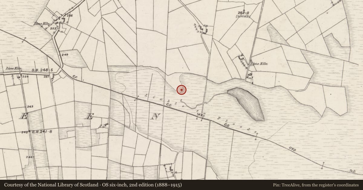 Ordnance Survey six-inch map, 2nd edition (1888–1915) covering the location of Mound, Cloonmore, County Galway, with a pin at the register's coordinates