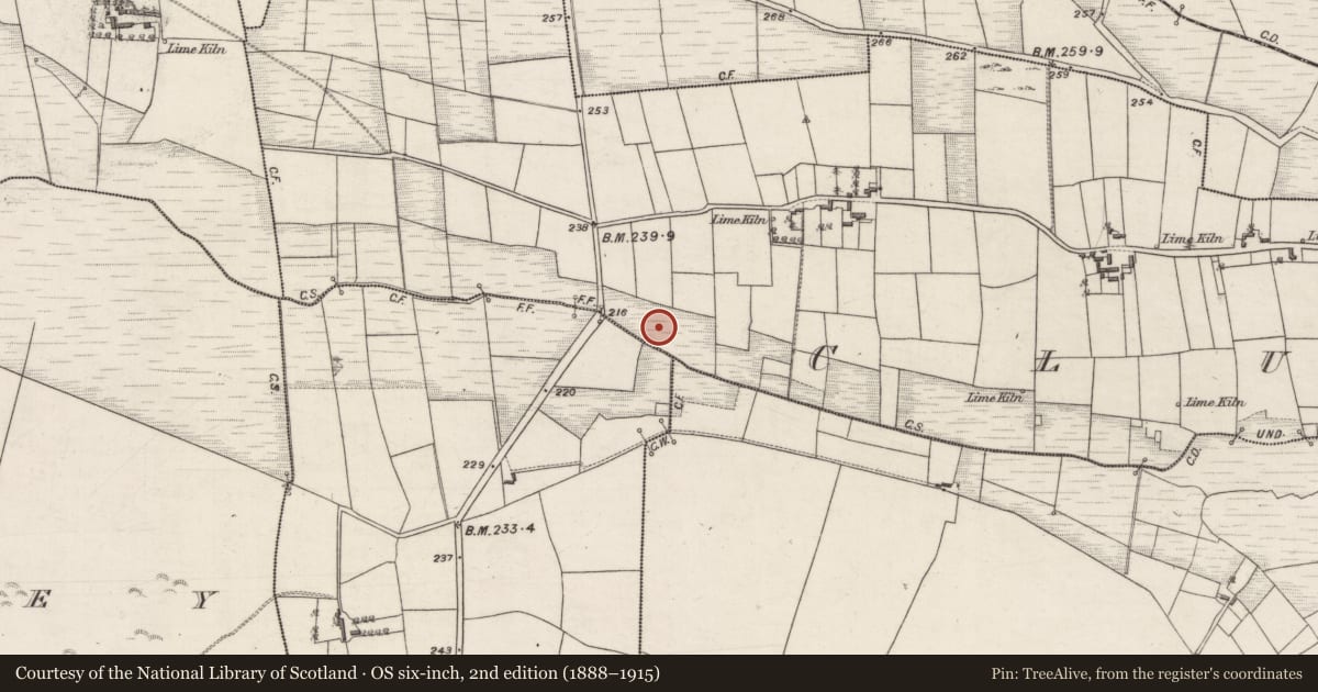 Ordnance Survey six-inch map, 2nd edition (1888–1915) covering the location of Ritual site - holy well, Cluid, County Galway, with a pin at the register's coordinates