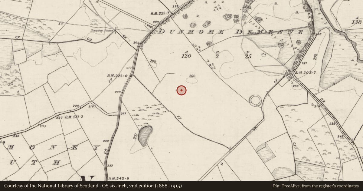 Ordnance Survey six-inch map, 2nd edition (1888–1915) covering the location of Ringfort - rath, Dunmore Demesne, County Galway, with a pin at the register's coordinates