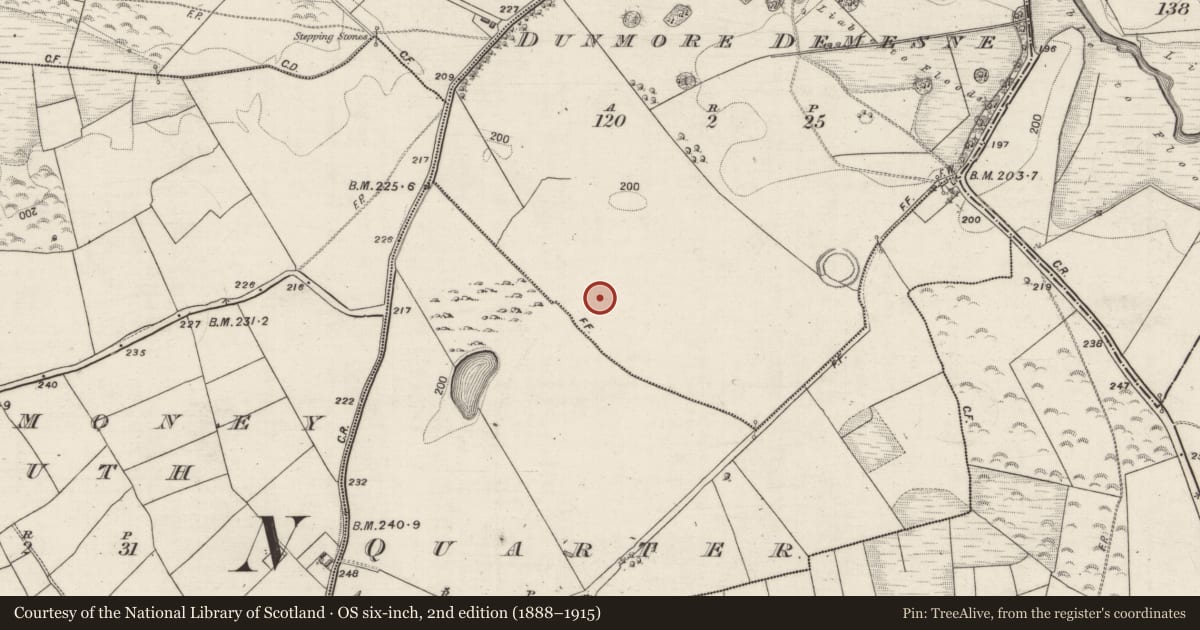 Ordnance Survey six-inch map, 2nd edition (1888–1915) covering the location of Earthwork, Dunmore Demesne, County Galway, with a pin at the register's coordinates