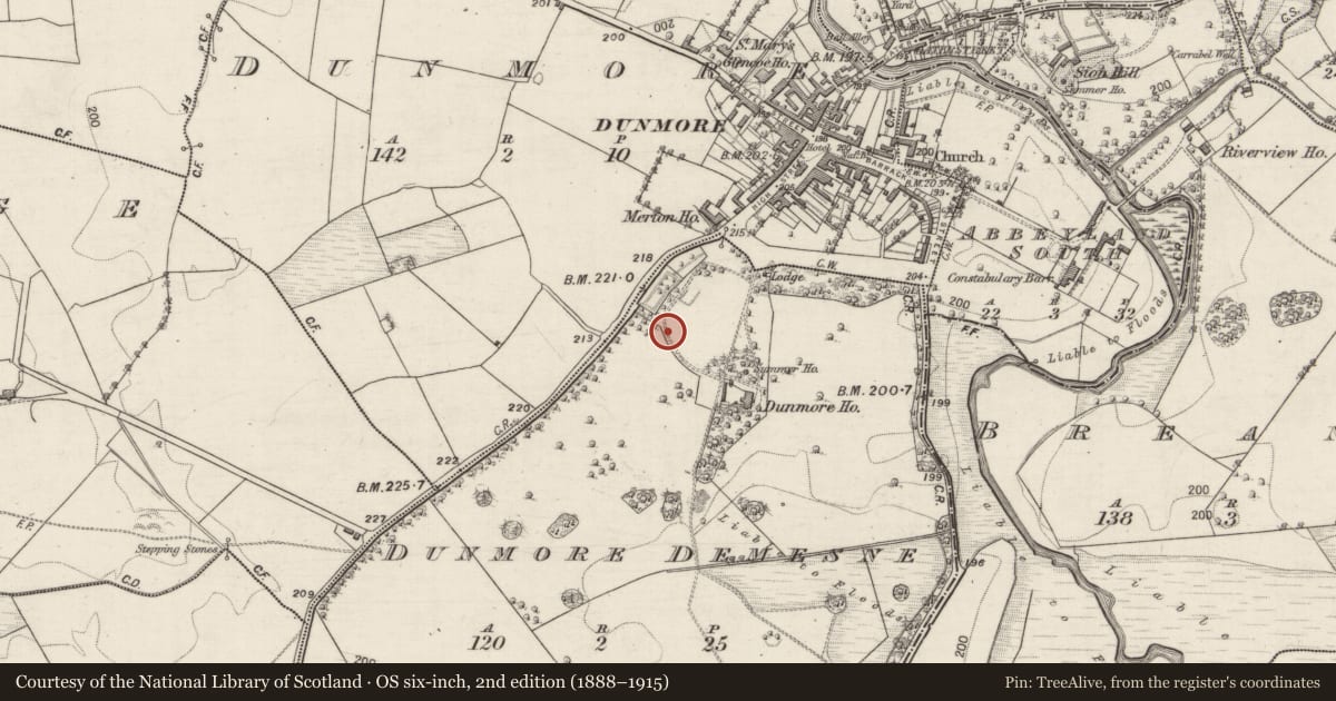 Ordnance Survey six-inch map, 2nd edition (1888–1915) covering the location of Designed landscape - tree-ring, Dunmore Demesne, County Galway, with a pin at the register's coordinates