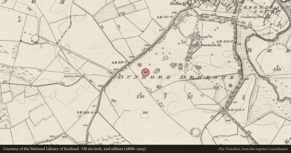 Ordnance Survey six-inch map, 2nd edition (1888–1915) covering the location of Designed landscape - folly, Dunmore Demesne, County Galway, with a pin at the register's coordinates