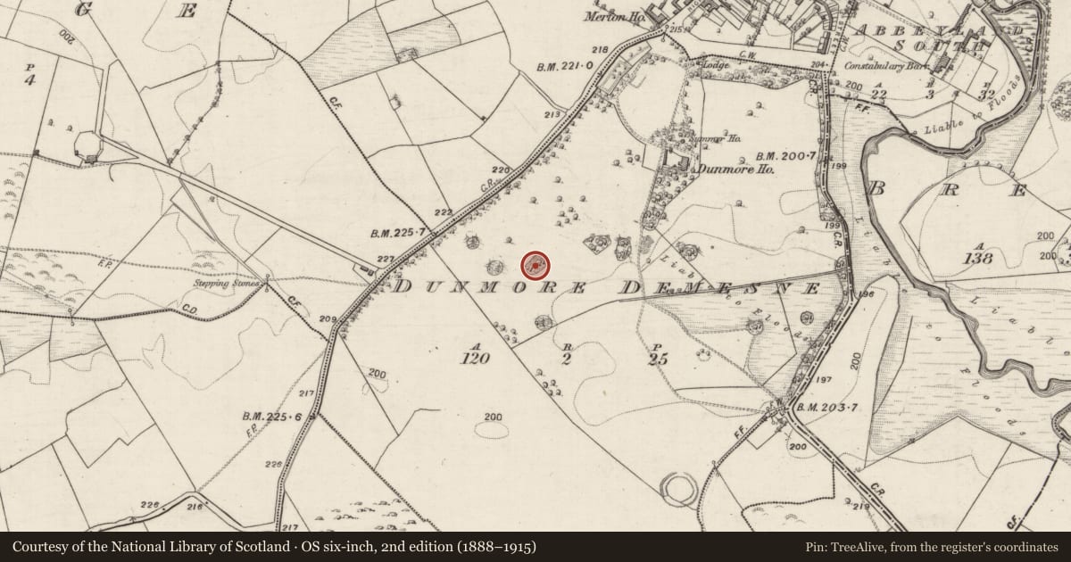 Ordnance Survey six-inch map, 2nd edition (1888–1915) covering the location of Designed landscape - folly, Dunmore Demesne, County Galway, with a pin at the register's coordinates