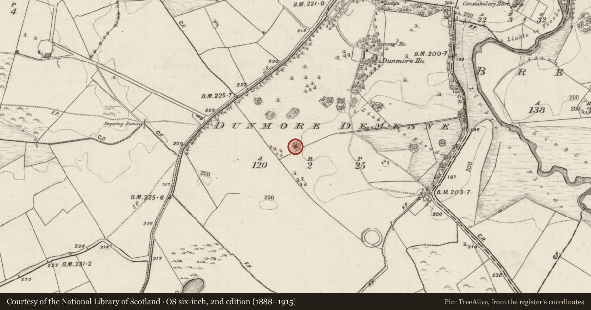 Ordnance Survey six-inch map, 2nd edition (1888–1915) covering the location of Designed landscape - folly, Dunmore Demesne, County Galway, with a pin at the register's coordinates