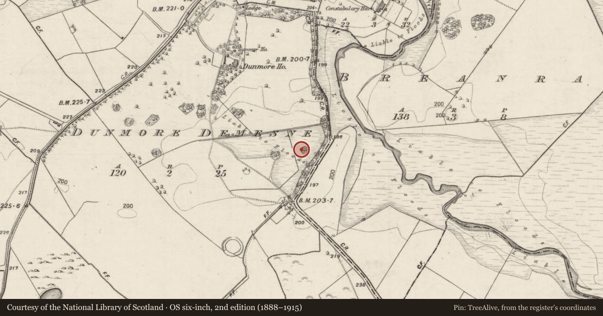 Ordnance Survey six-inch map, 2nd edition (1888–1915) covering the location of Designed landscape - folly, Dunmore Demesne, County Galway, with a pin at the register's coordinates