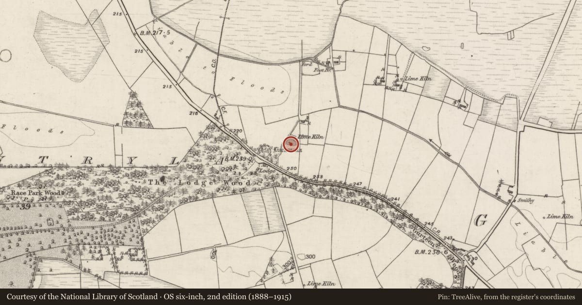 Ordnance Survey six-inch map, 2nd edition (1888–1915) covering the location of Quarry, Gorteen, County Galway, with a pin at the register's coordinates