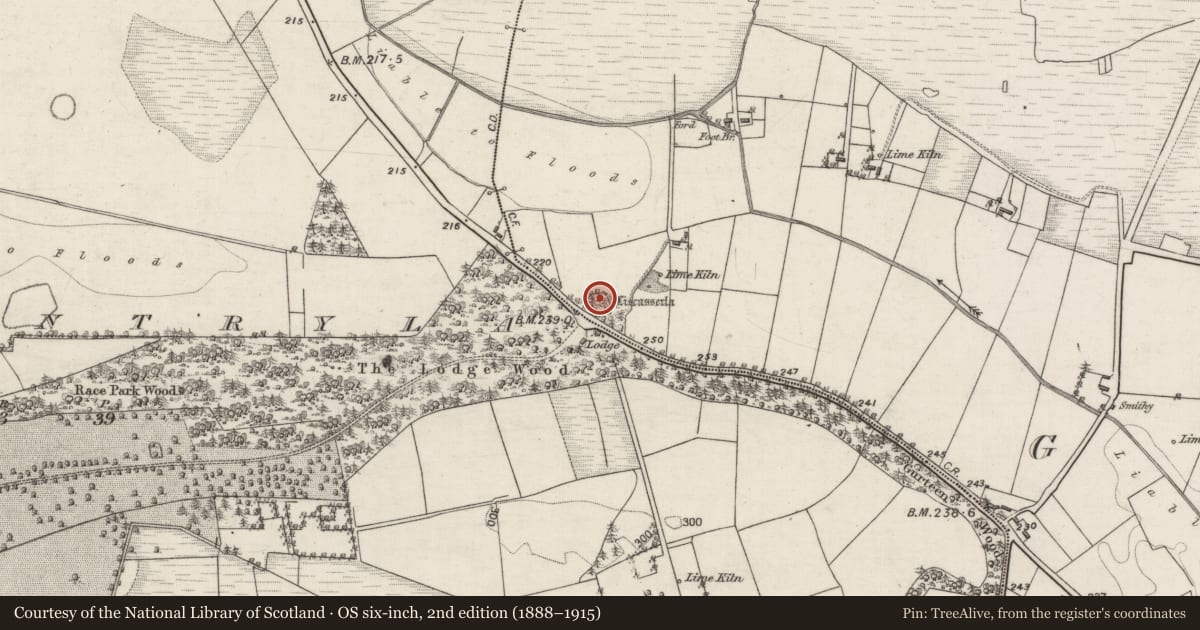 Ordnance Survey six-inch map, 2nd edition (1888–1915) covering the location of Ringfort - rath, Gorteen, County Galway, with a pin at the register's coordinates