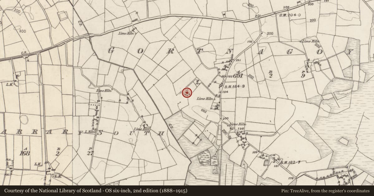 Ordnance Survey six-inch map, 2nd edition (1888–1915) covering the location of Ringfort - rath, Gortnagoyne, County Galway, with a pin at the register's coordinates