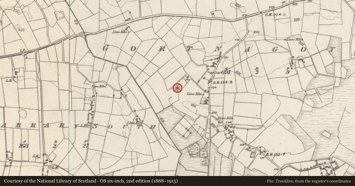 Ordnance Survey six-inch map, 2nd edition (1888–1915) covering the location of Children's burial ground, Gortnagoyne, County Galway, with a pin at the register's coordinates