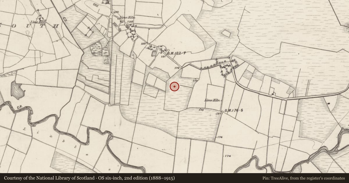 Ordnance Survey six-inch map, 2nd edition (1888–1915) covering the location of Earthwork, Gortnagoyne, County Galway, with a pin at the register's coordinates