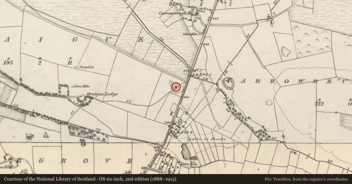 Ordnance Survey six-inch map, 2nd edition (1888–1915) covering the location of Moated site, Graigue, County Galway, with a pin at the register's coordinates