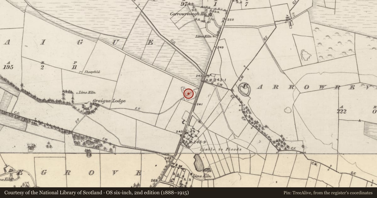 Ordnance Survey six-inch map, 2nd edition (1888–1915) covering the location of House - indeterminate date, Graigue, County Galway, with a pin at the register's coordinates