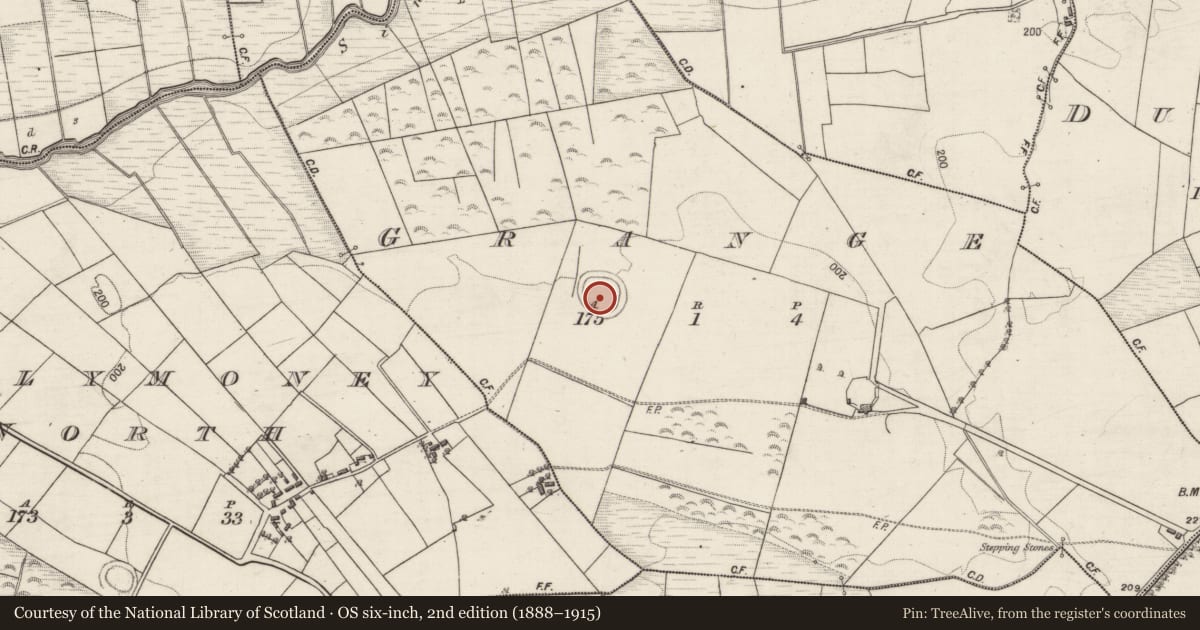 Ordnance Survey six-inch map, 2nd edition (1888–1915) covering the location of Souterrain, Grange, County Galway, with a pin at the register's coordinates