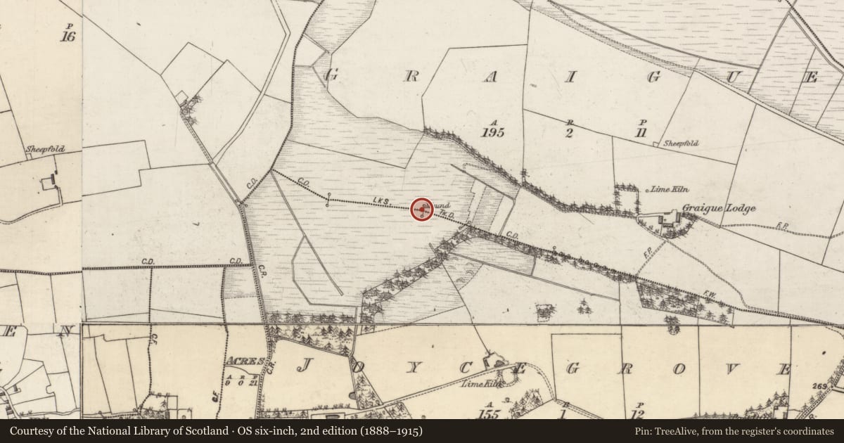 Ordnance Survey six-inch map, 2nd edition (1888–1915) covering the location of Boundary mound, Graigue, Joycegrove, County Galway, with a pin at the register's coordinates