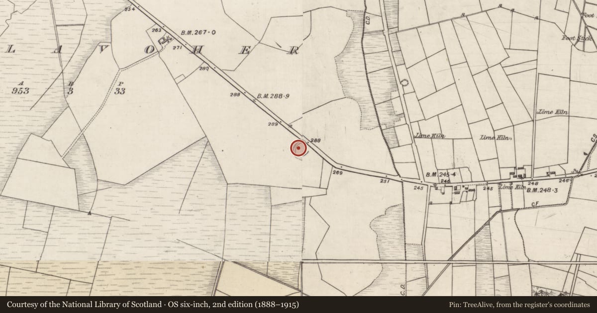 Ordnance Survey six-inch map, 2nd edition (1888–1915) covering the location of Ringfort - rath, Killavoher, County Galway, with a pin at the register's coordinates