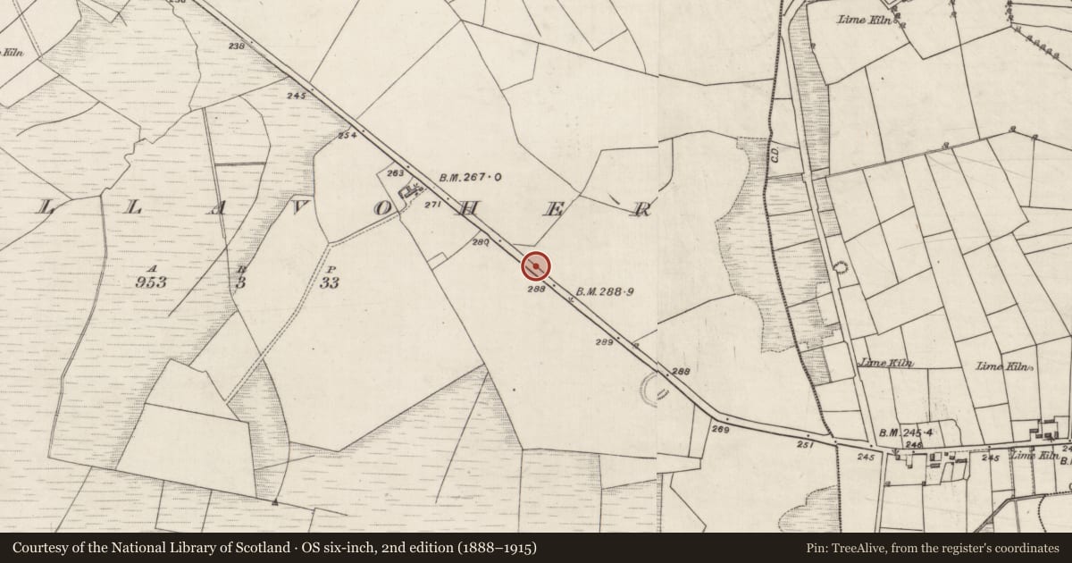 Ordnance Survey six-inch map, 2nd edition (1888–1915) covering the location of Monumental structure, Killavoher, County Galway, with a pin at the register's coordinates