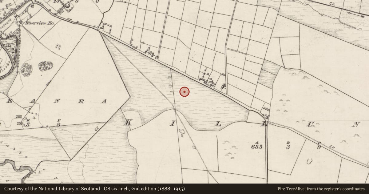 Ordnance Survey six-inch map, 2nd edition (1888–1915) covering the location of Fulacht fia, Killuney, County Galway, with a pin at the register's coordinates