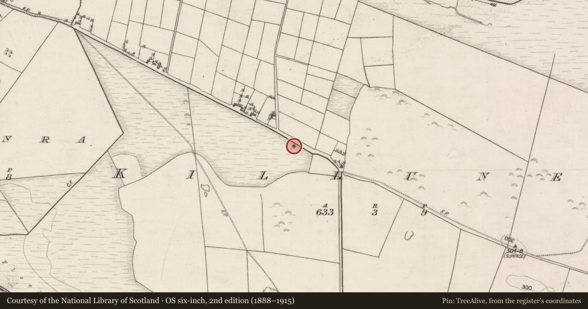 Ordnance Survey six-inch map, 2nd edition (1888–1915) covering the location of Fulacht fia, Killuney, County Galway, with a pin at the register's coordinates