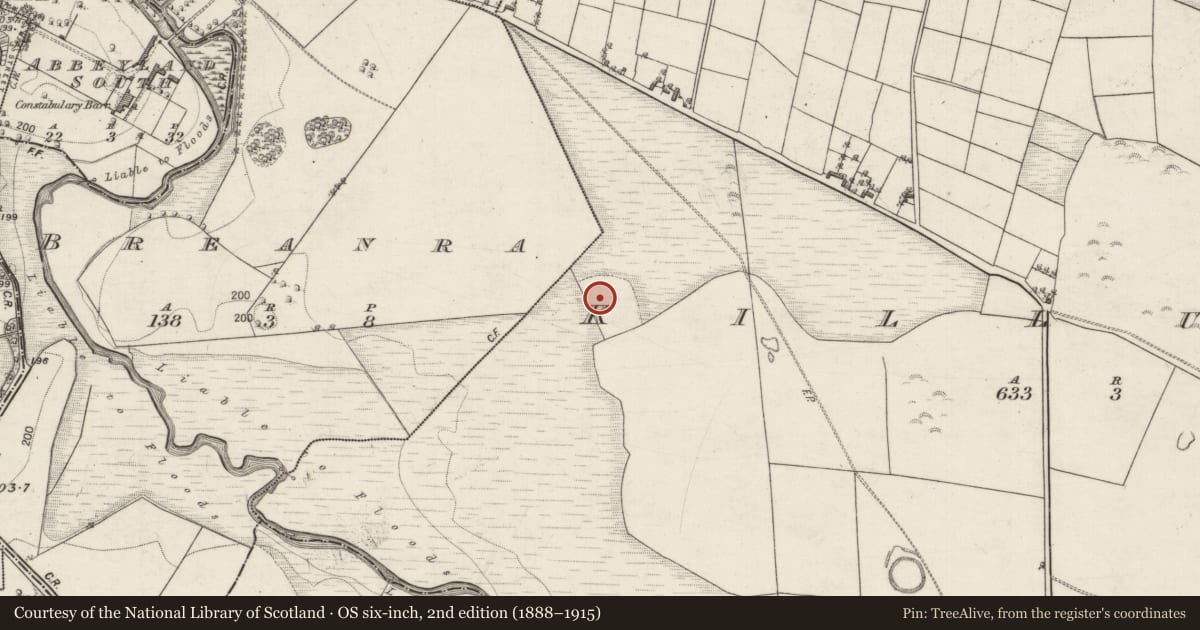 Ordnance Survey six-inch map, 2nd edition (1888–1915) covering the location of Burial, Killuney, County Galway, with a pin at the register's coordinates