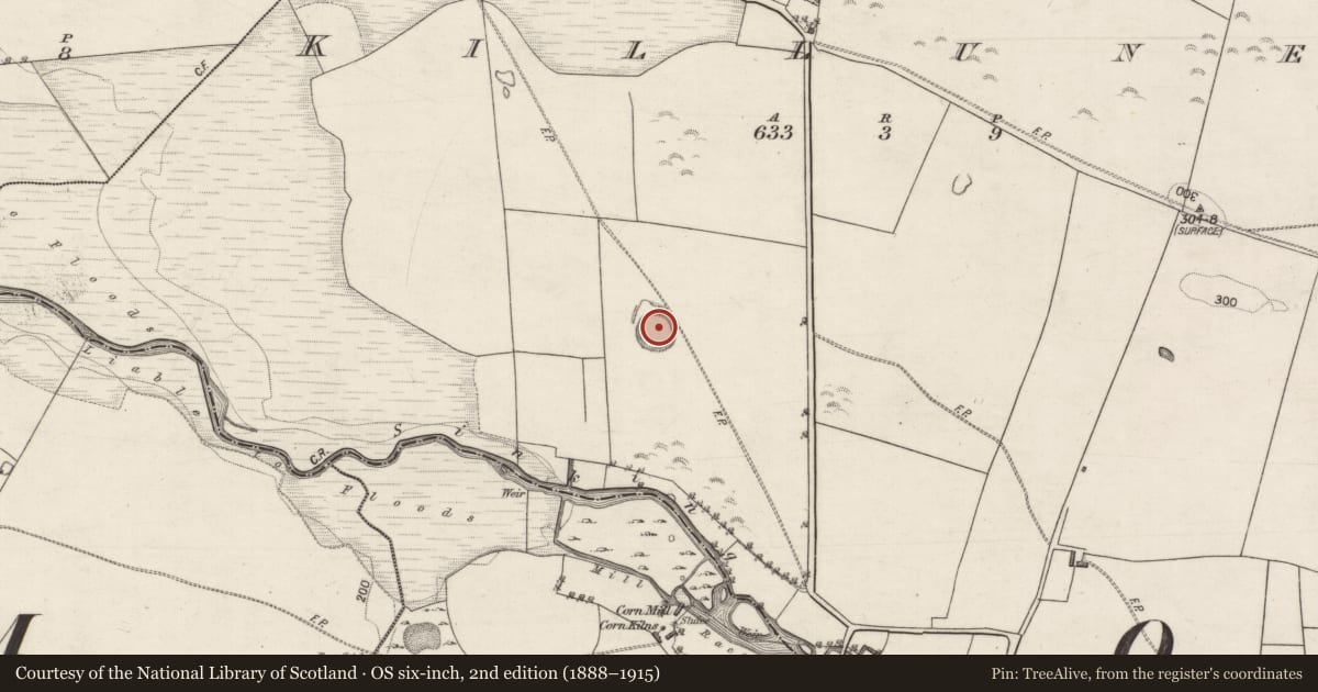 Ordnance Survey six-inch map, 2nd edition (1888–1915) covering the location of Ringfort - rath, Killuney, County Galway, with a pin at the register's coordinates