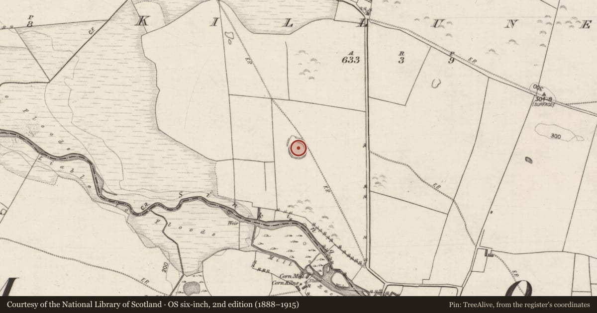 Ordnance Survey six-inch map, 2nd edition (1888–1915) covering the location of Souterrain, Killuney, County Galway, with a pin at the register's coordinates