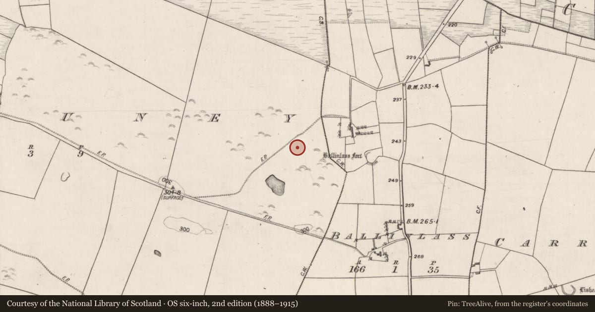 Ordnance Survey six-inch map, 2nd edition (1888–1915) covering the location of Ringfort - unclassified, Killuney, County Galway, with a pin at the register's coordinates