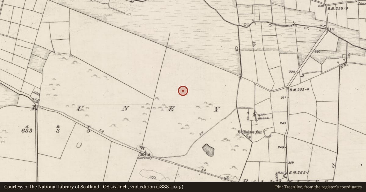 Ordnance Survey six-inch map, 2nd edition (1888–1915) covering the location of Penitential station, Killuney, County Galway, with a pin at the register's coordinates