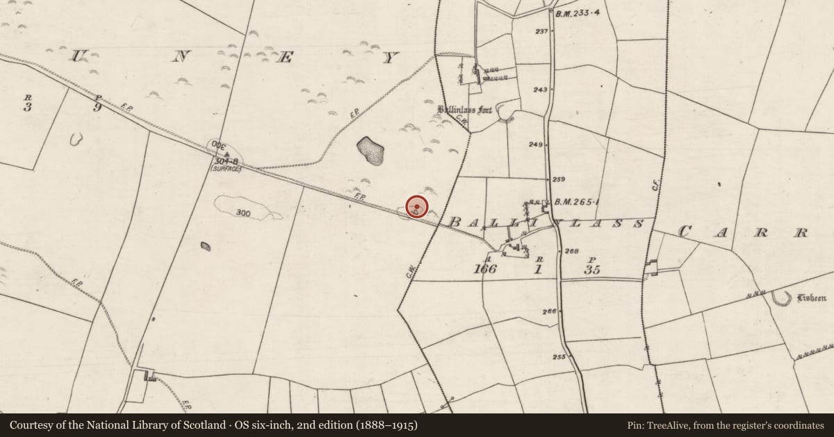 Ordnance Survey six-inch map, 2nd edition (1888–1915) covering the location of Earthwork, Killuney, County Galway, with a pin at the register's coordinates