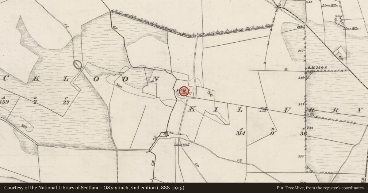 Ordnance Survey six-inch map, 2nd edition (1888–1915) covering the location of Ringfort - rath, Kilmurry, County Galway, with a pin at the register's coordinates